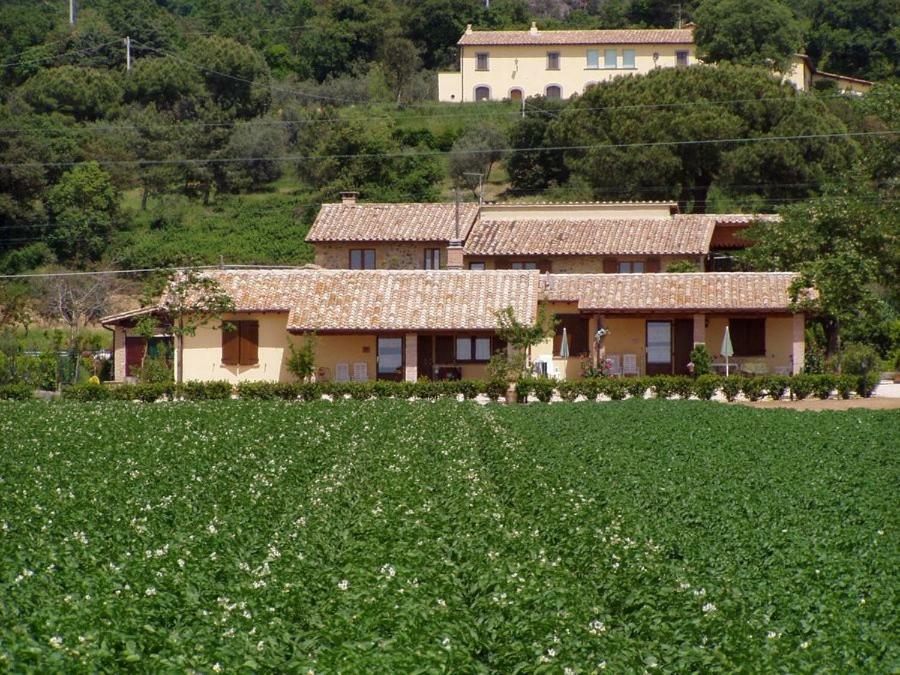 Agriturismo Casale Del Contadino Bolsena Exterior foto